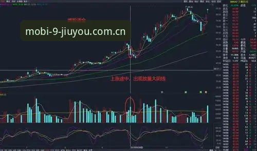九游NBA赔率走势图功能详解 九游NBA赔率走势图功能全面解析:从入门到精通的实战攻略